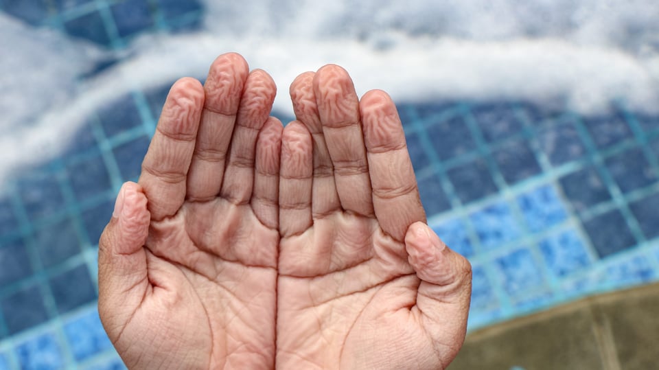 10 cosas curiosas que hace tu cuerpo y nadie te contó para qué sirven!