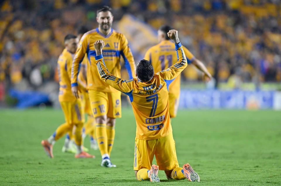 Tigres