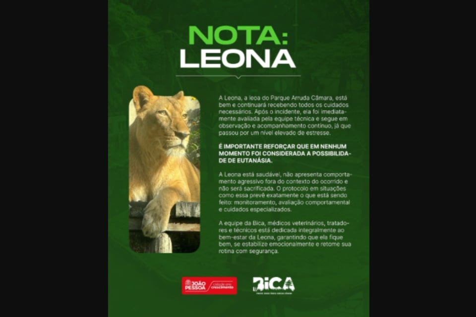 Hombre invade recinto felinos, Leona, Zoológico MundoNOW