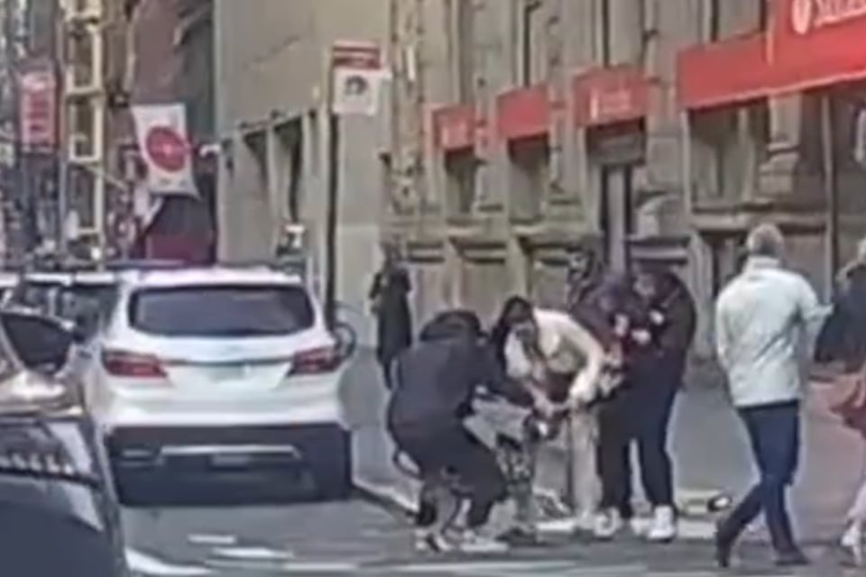 Ataque, Perro, Bebé, Manhattan