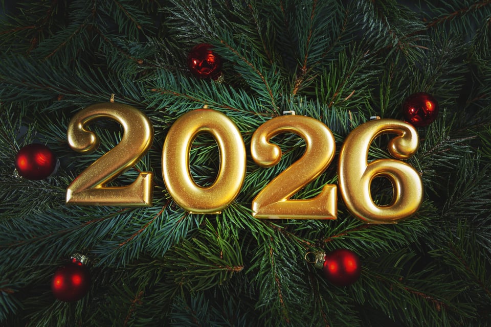 propositos 2026 