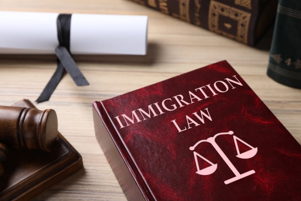 Retrasos en inmigración superan récords y afectan a seis estados clave
