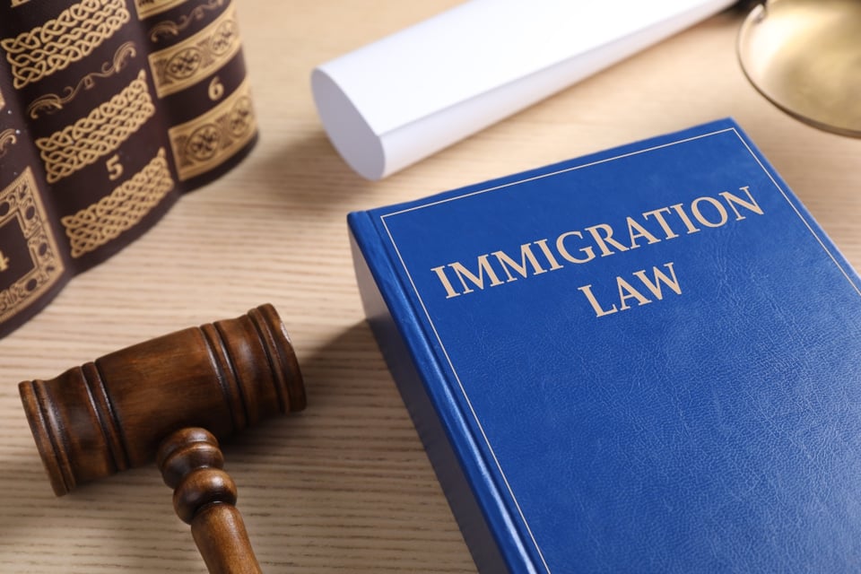 Carga creciente en tribunales de inmigración