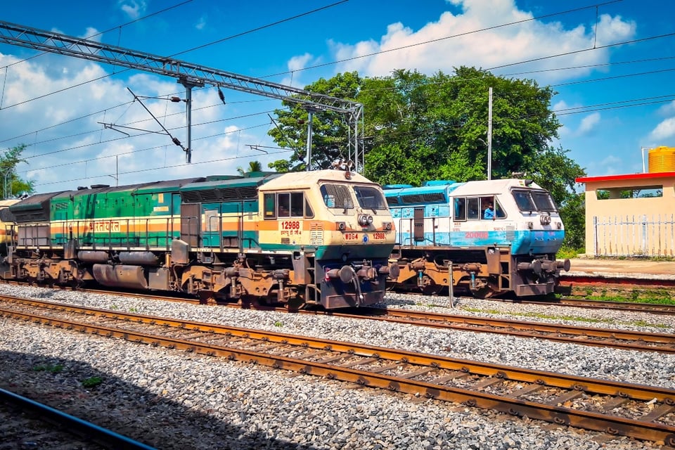 Siete elefantes mueren tras ser arrollados por tren