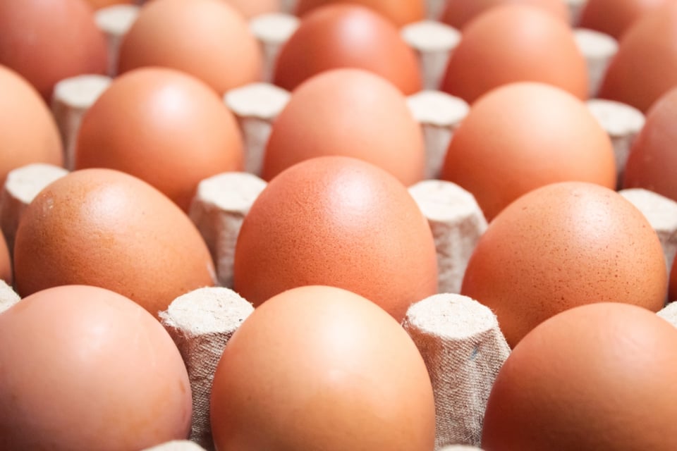 Retiran miles de huevos en California tras detectar riesgo de salmonela