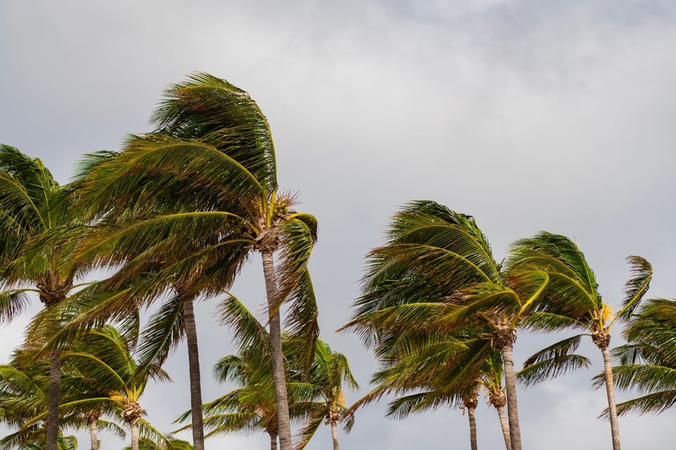 Calor antes del frío, Lluvias, viento y nieve, tormenta MundoNOW