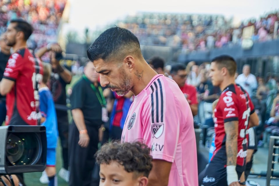 Suárez