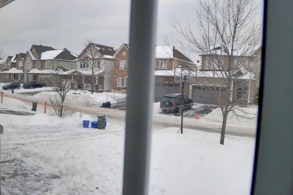 ¡perro provoca incendio en canadá!