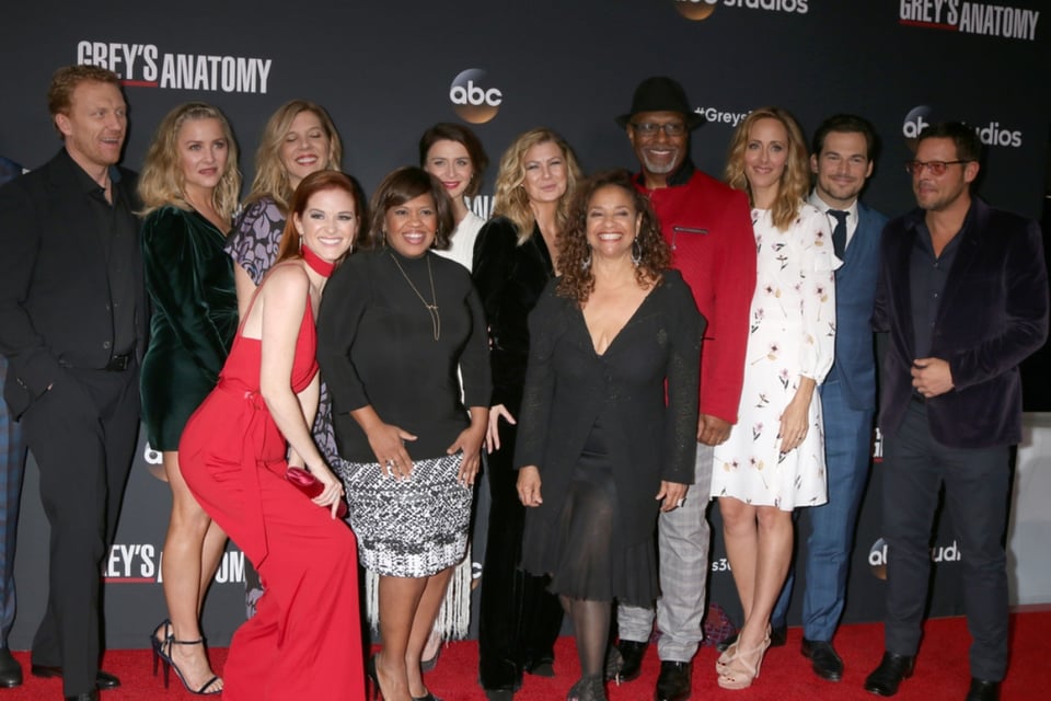 Grey’s Anatomy contra ICE
