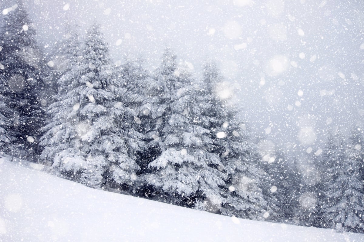 Un nuevo sistema invernal promete nieve para el noreste de Estados Unidos tras años de escasez