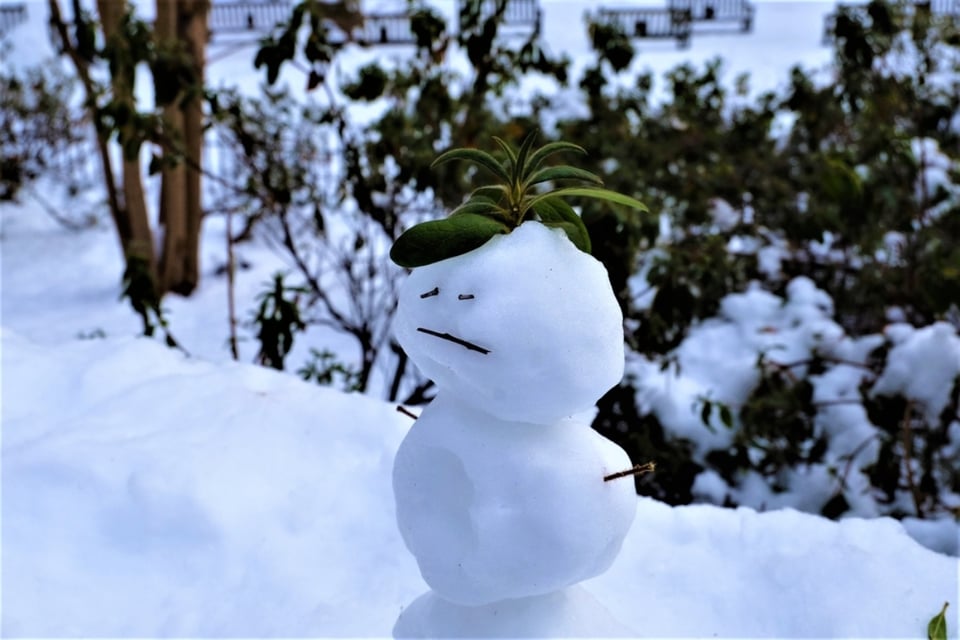 Clima invernal en el este