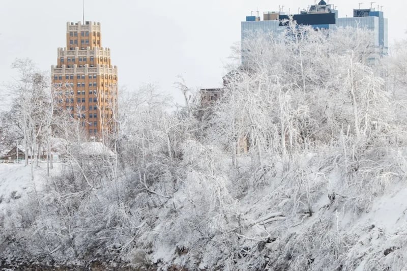 Extreme Cold Batters New York, Leaving at Least Five Dead