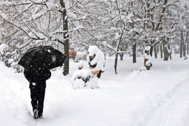 Tormenta invernal paraliza a 40 estados de EEUU, entre ellos se encuentra Nueva York