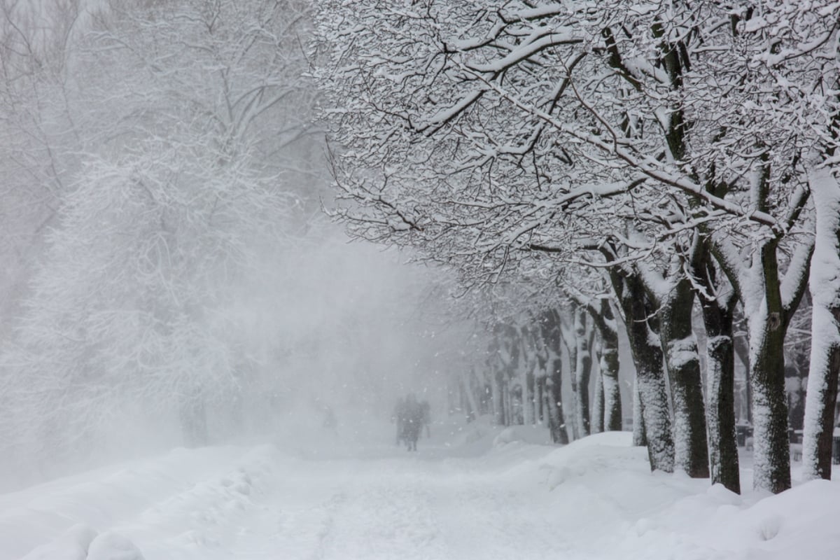 Una tormenta invernal catastrófica amenaza al sur de EE.UU. con impactos históricos