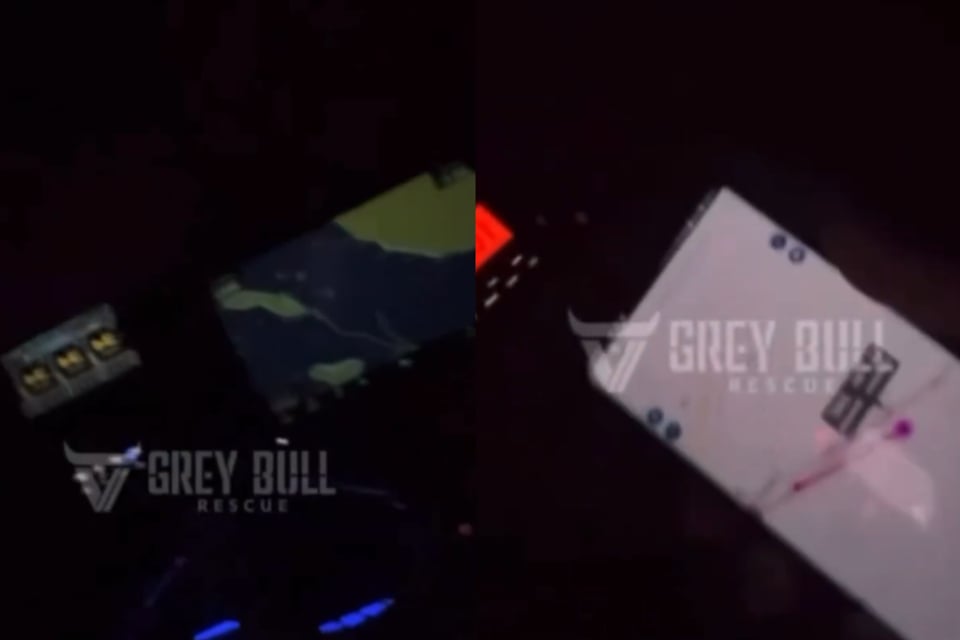 GREY BULL RESCUE