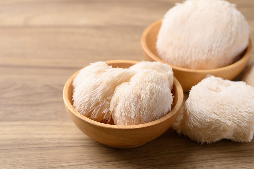 melena, de, leonb, hongo, natural, memoria, Lion’s Mane mushroom benefits
