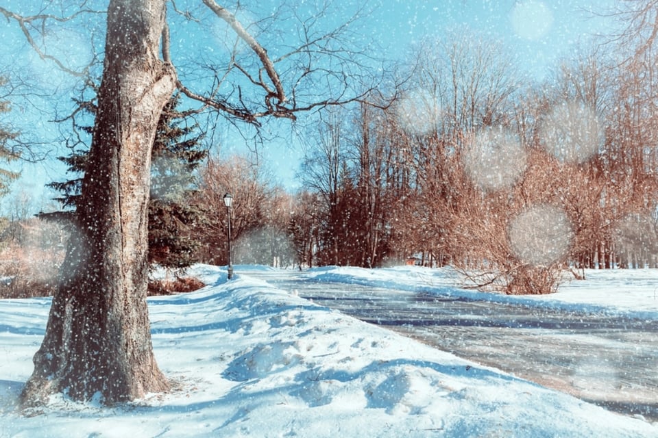 Posibles nevadas en el este de EEUU