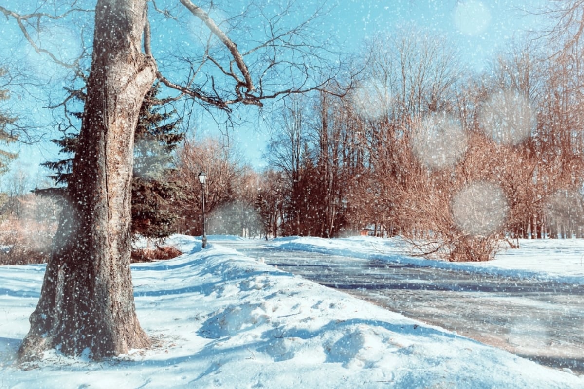 Clima invernal en EEUU