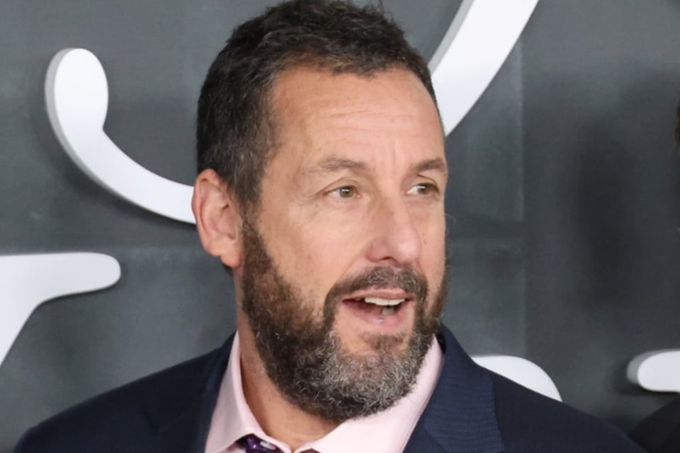 Artistas de Hollywood se pronuncian