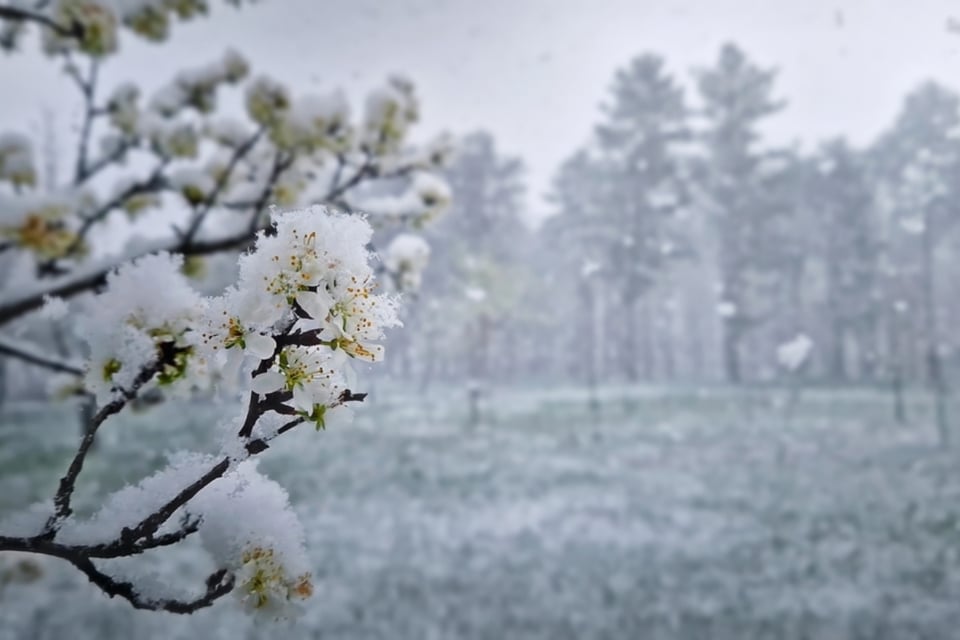 Nevadas vuelven a EEUU