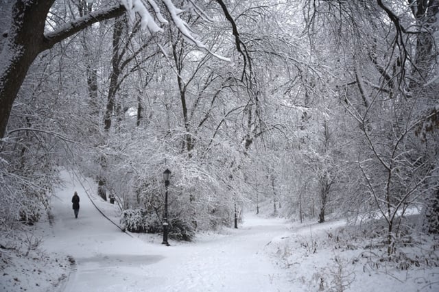 Histórica tormenta de nieve amenaza al noreste mientras Nueva York activa advertencia por primera vez desde 2017
