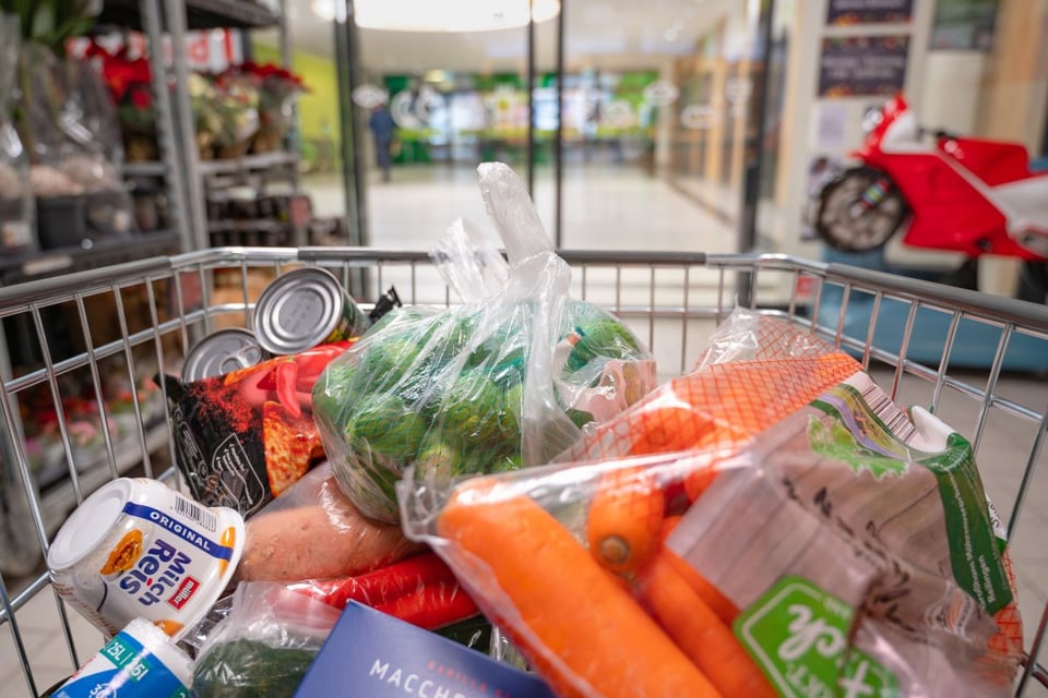 Beneficios TANF de marzo en Georgia: ayuda para pagar renta, alimentos y servicios