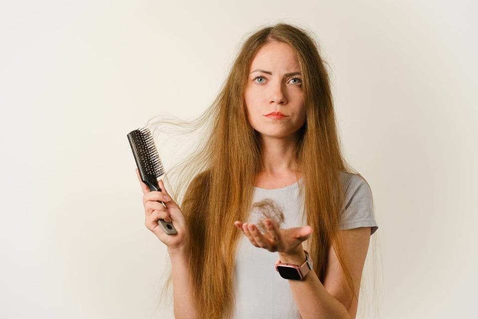 cabello, liso, cepillo, ondulado, cepillado, cerdas 