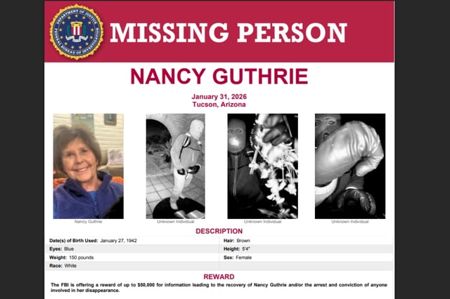 Nancy Guthrie Case Advances: Person of Interest Detained in Arizona