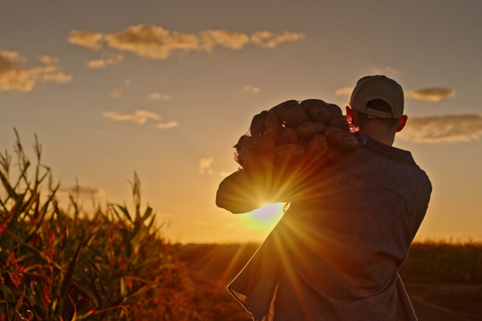 Familia enfrenta cargos por explotar migrantes en agricultura estadounidense