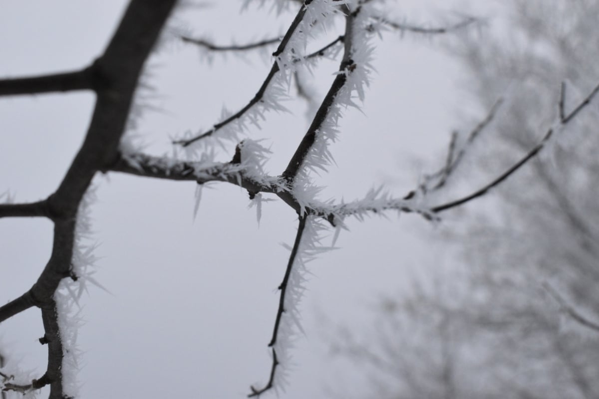 El noreste se prepara para otro golpe del invierno: nieve, vientos peligrosos y frío extremo este fin de semana