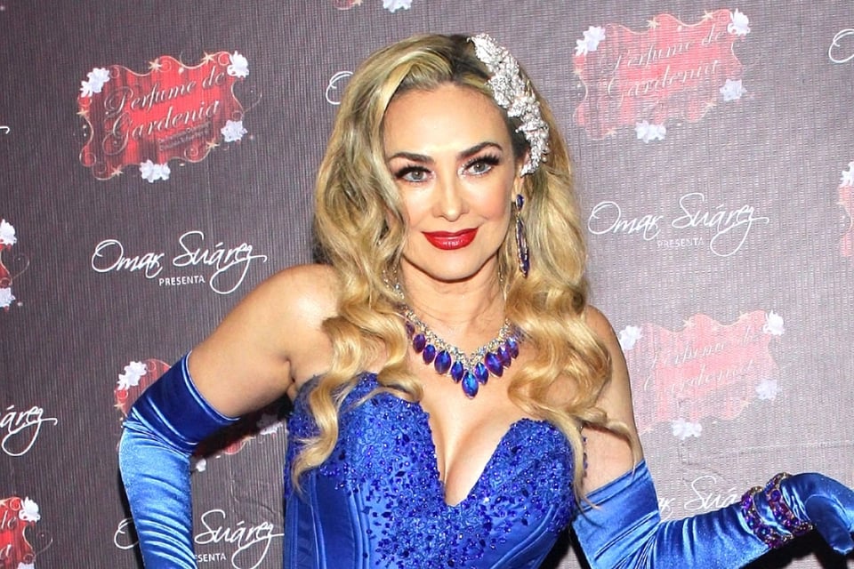 Tras años de discreción, aparecen imágenes del hijo mayor de Luis Miguel y Aracely Arámbula