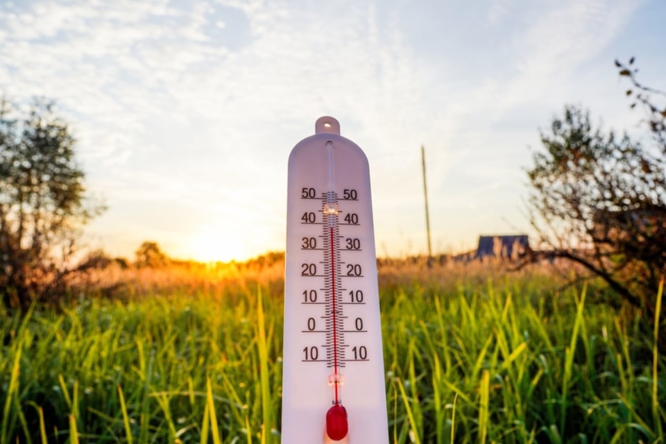 Florida enfrenta sequía histórica tras ola de calor extrema que agrava incendios y presión hídrica featured image