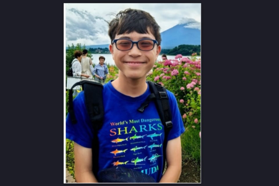 Adolescente desaparecido tras viaje por Roblox es hallado sin vida