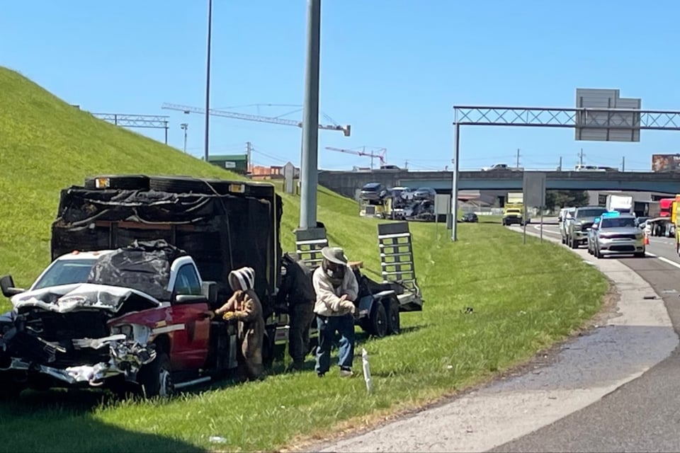 Accidente en Tennessee libera un millón de abejas y cierra autopista