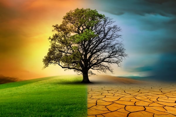 Sequía histórica y vientos extremos desatan ola de incendios en el sureste de EE.UU.