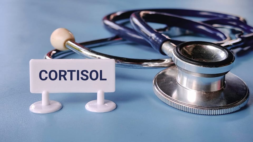 cortisol alto, estres, miedo, ansiedad, niveles, vitaminas, colageno 
