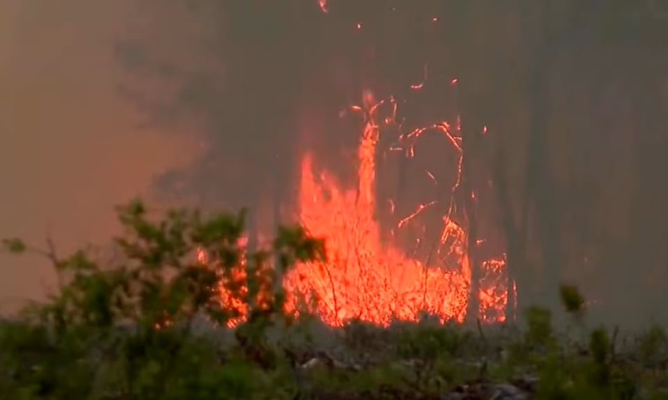 Incendios en Georgia y Florida provocan evacuaciones masivas y destruyen decenas de viviendas