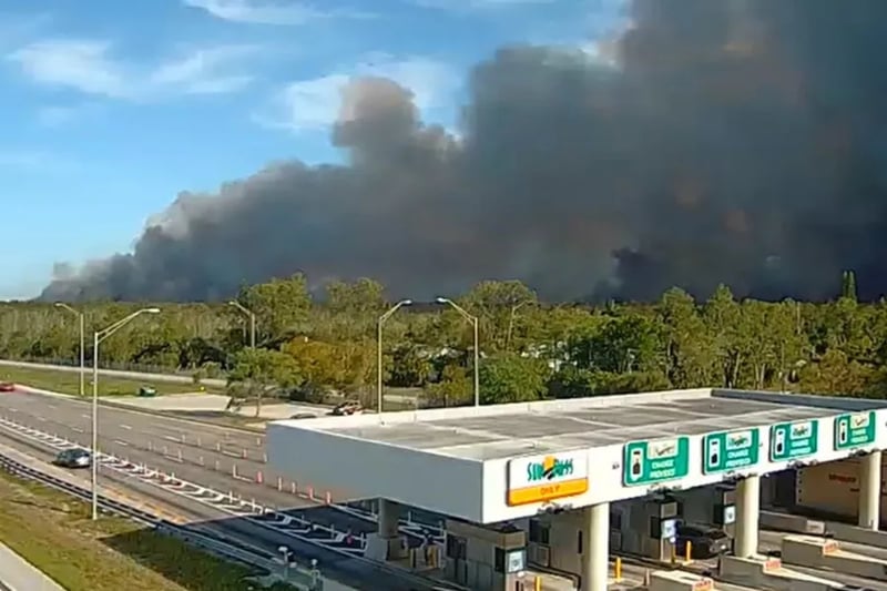 Incendio forestal avanza en Florida y ya consume más de 140 hectáreas featured image