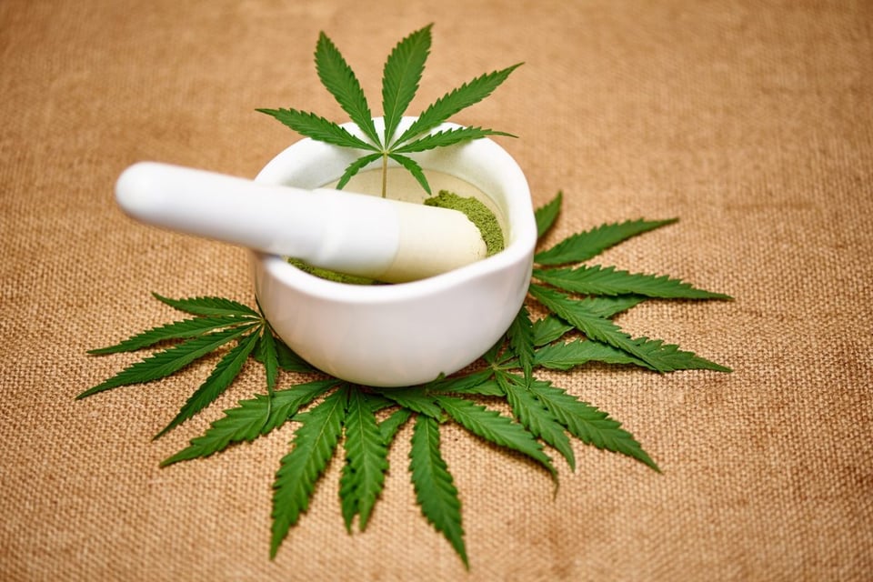 marihuana, medicinal, legalizan, reclasifican, riesgo