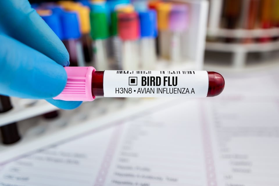 WHO Confirms High-Risk Virus Infection and Issues Global Health Alert