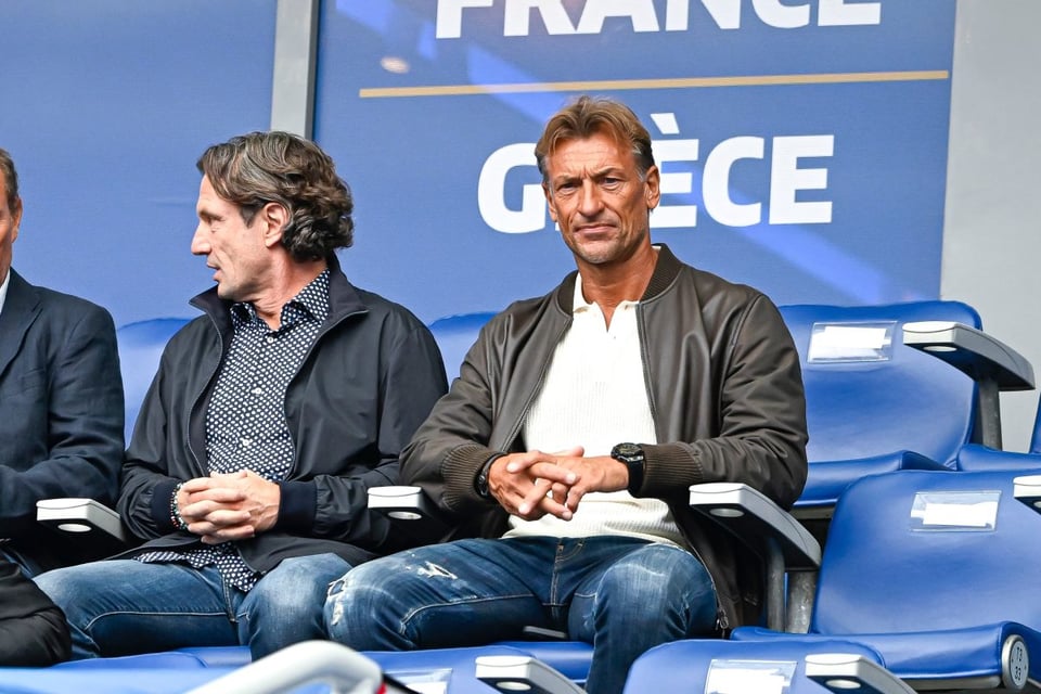 Arabia Saudí, Hervé Renard