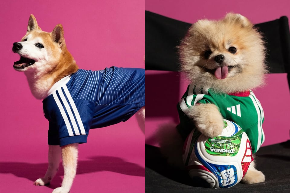 Mundial, Mascotas