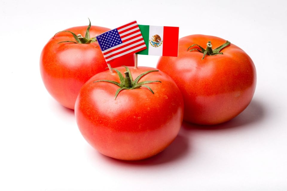 tomate mexicano más caro