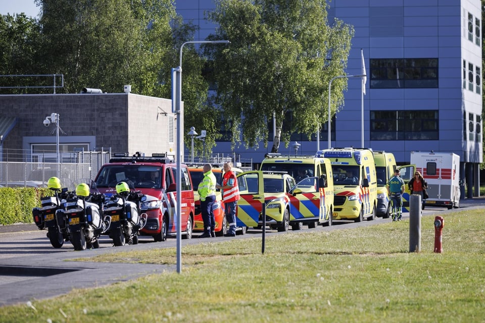 EE.UU. activa cuarentena especial por brote mortal de hantavirus en crucero