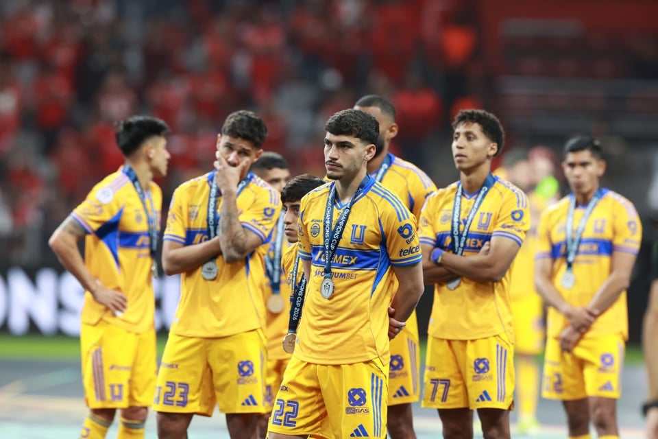 Tigres