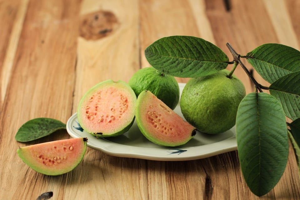guava, guayaba, hojas, matas, axzucar, salud