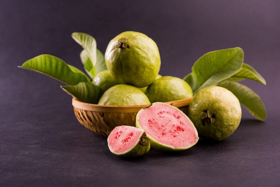 guayaba, hojas, remedio, azucar, colesterol