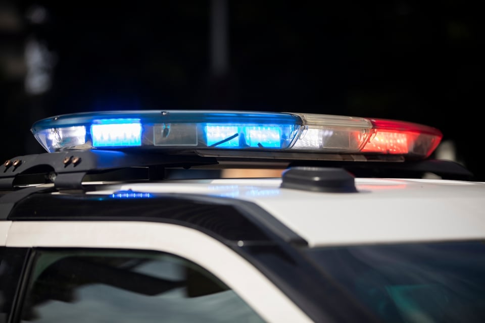 Caen 341 sospechosos en redada por explotación infantil en línea