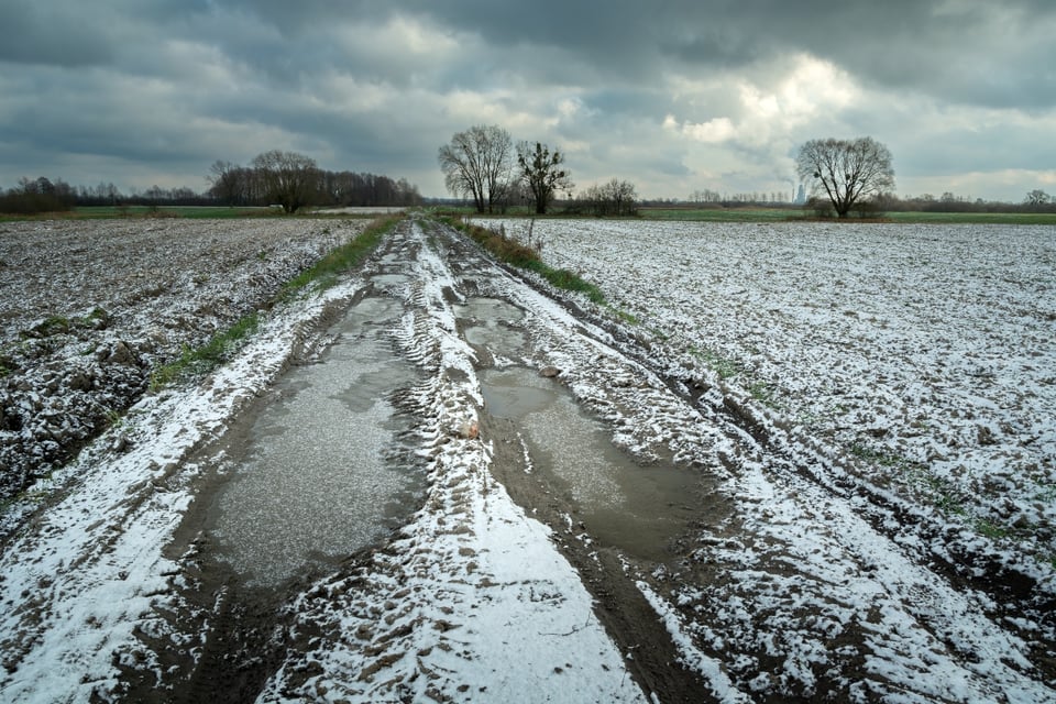 Nueva Jersey declara estado de emergencia tras pérdidas agrícolas millonarias tras ola de frío extremo