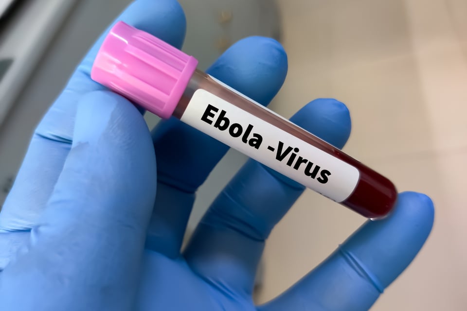 Brote de ébola continúa creciendo en África mientras OMS descarta crisis global